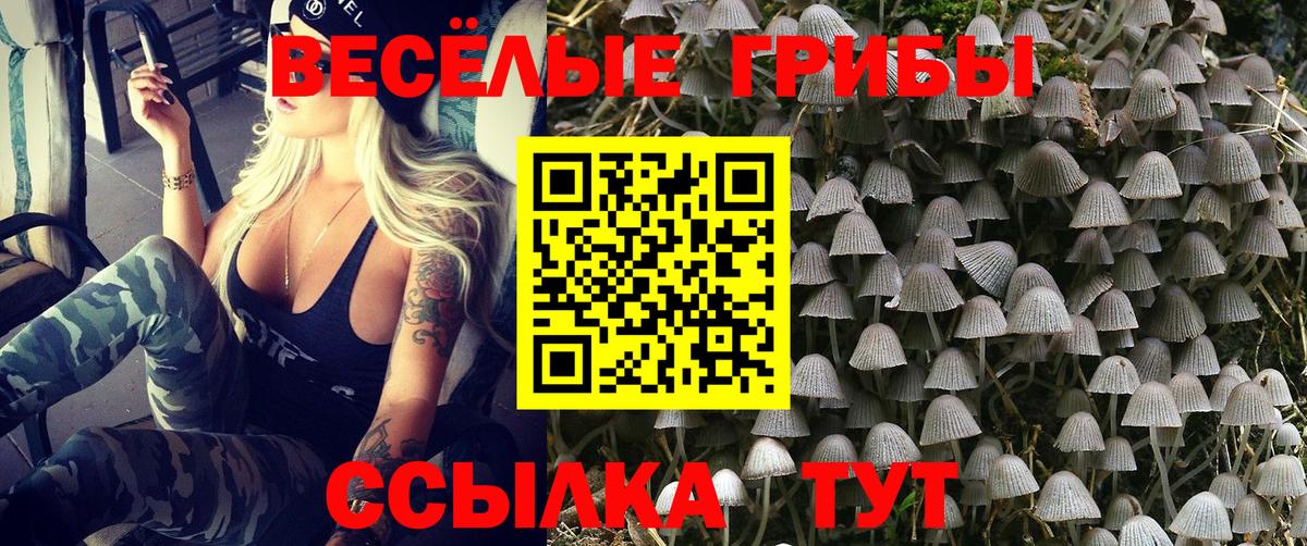 Галлюциногенные грибы мухоморы Малоярославец