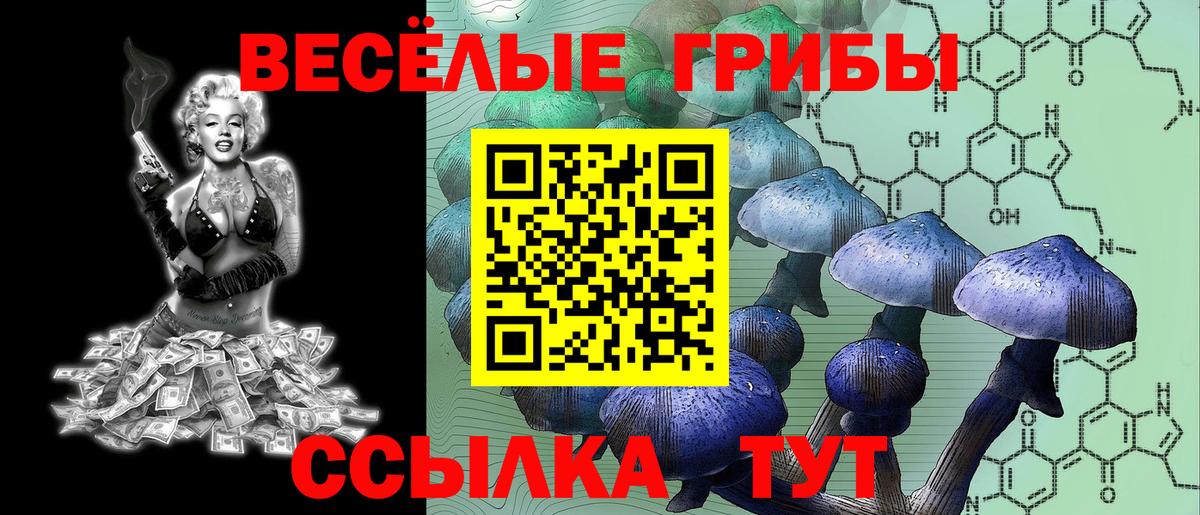 Малоярославец  Псилоцибиновые грибы GOLDEN TEACHER  купить  сайты  Вход с VPN 